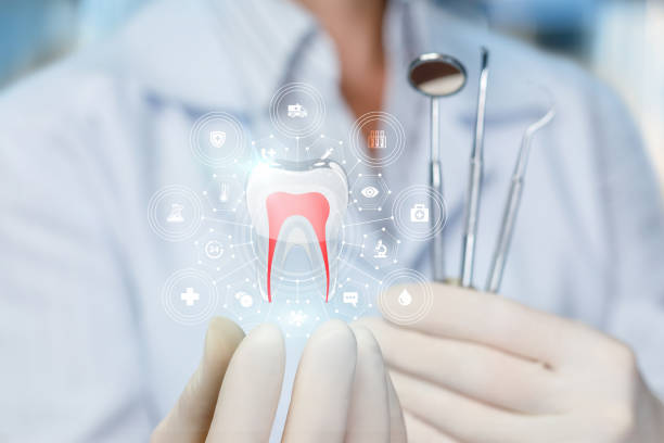 Reliable Schnecksville, PA Dental Services Solutions